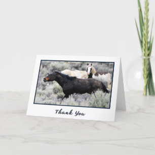 Wild Mustangs Foto Vielen Dank Cards Dankeskarte