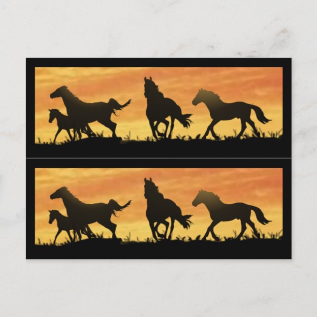 Wild Mustangs Postkarte (Vorderseite)