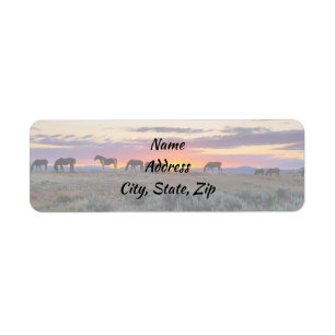 Wild Mustangs von der Westadresse