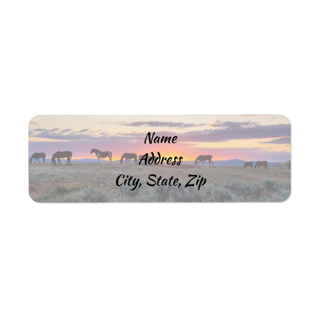 Wild Mustangs von der Westadresse (Vorne)