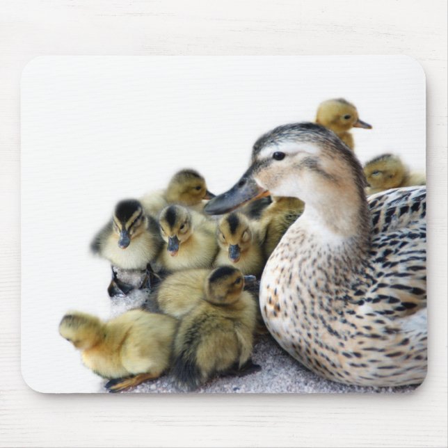Wild Mutter Ente und Enkeln Mousepad (Vorne)