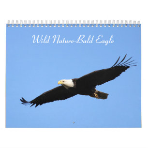 Wild Nature-Bald-Adler-Foto Kalender