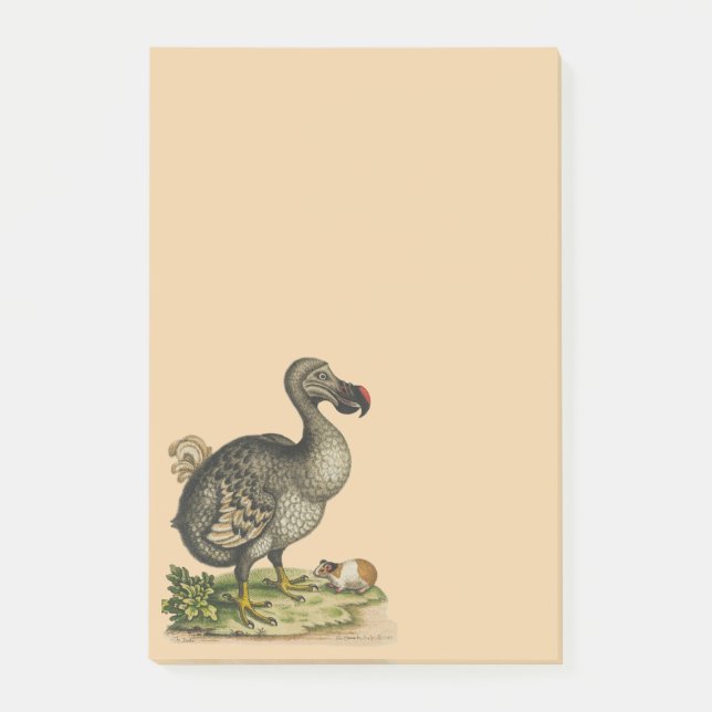 Wild Nature DoDo Bird Post-it Klebezettel (Vorderseite)