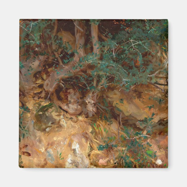 Wild Olive Tree Roots, 1908 von John Singer Sargen Magnet (Vorne)