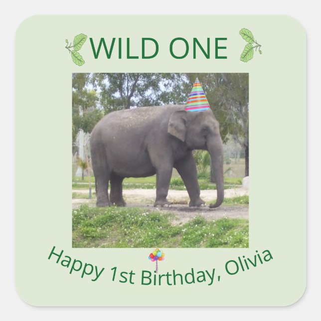 Wild One Elephant Birthday Design Quadratischer Aufkleber (Vorderseite)