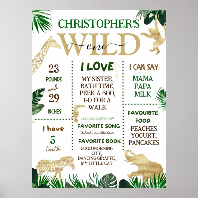 Wild One Safari Thema Geburtstagsparty Poster (Vorne)