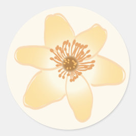 Wild Orange Anemone Blume - botanischer zeichn. Runder Aufkleber