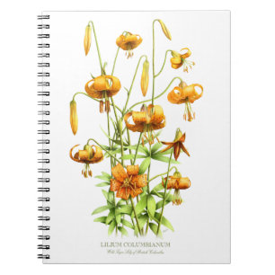 Wild Orange Tiger Lily Blume Botanisches Design Notizblock