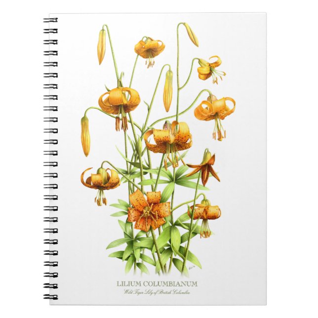 Wild Orange Tiger Lily Blume Botanisches Design Notizblock (Vorderseite)
