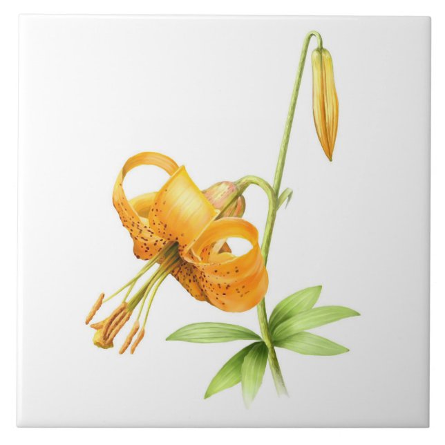 Wild Orange Tiger Lily Floral Botanische Kunst Fliese (Vorderseite)