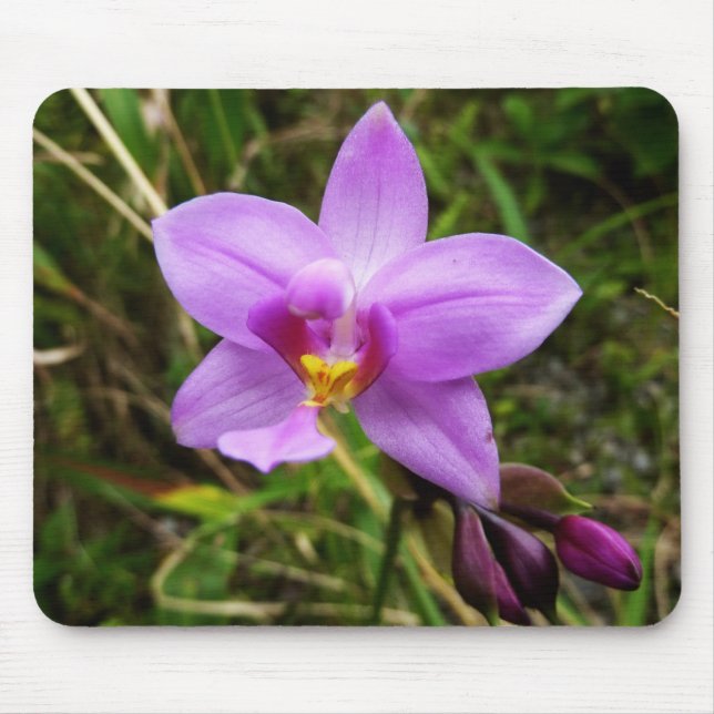 Wild Orchid Lila tropische Blume Mousepad (Vorne)