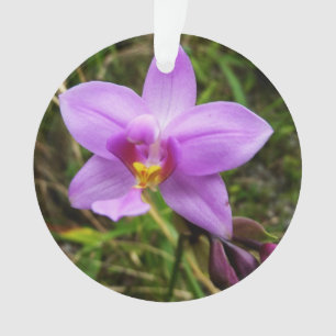 Wild Orchid Lila tropische Blume Ornament