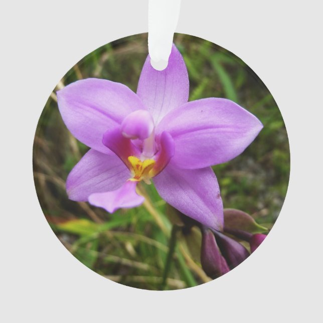 Wild Orchid Lila tropische Blume Ornament (Vorderseite)