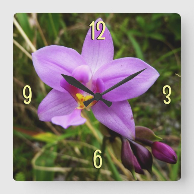 Wild Orchid Lila tropische Blume Quadratische Wanduhr (Vorderseite)