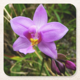 Wild Orchid Lila tropische Blume Rechteckiger Pappuntersetzer