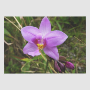 Wild Orchid Lila tropische Blume Seidenpapier
