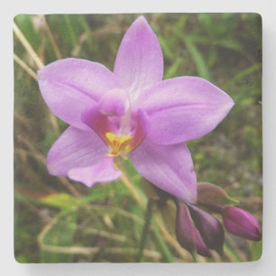 Wild Orchid Lila tropische Blume Steinuntersetzer