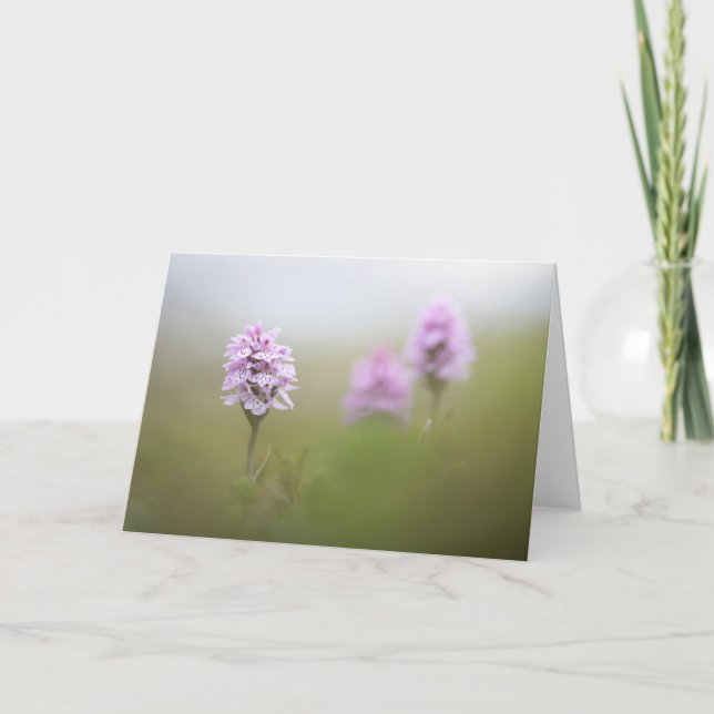 Wild Orchid Nature Foto Karte (Vorderseite)