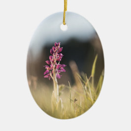 Wild Orchid Nature Foto Keramik Ornament