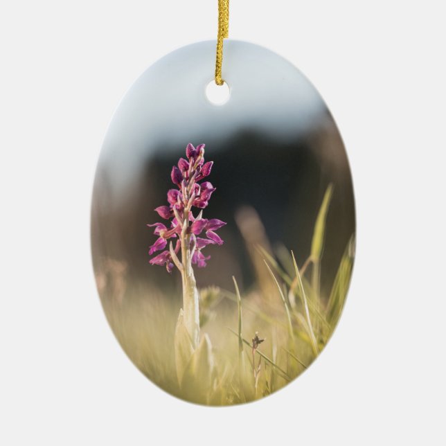 Wild Orchid Nature Foto Keramik Ornament (Vorne)