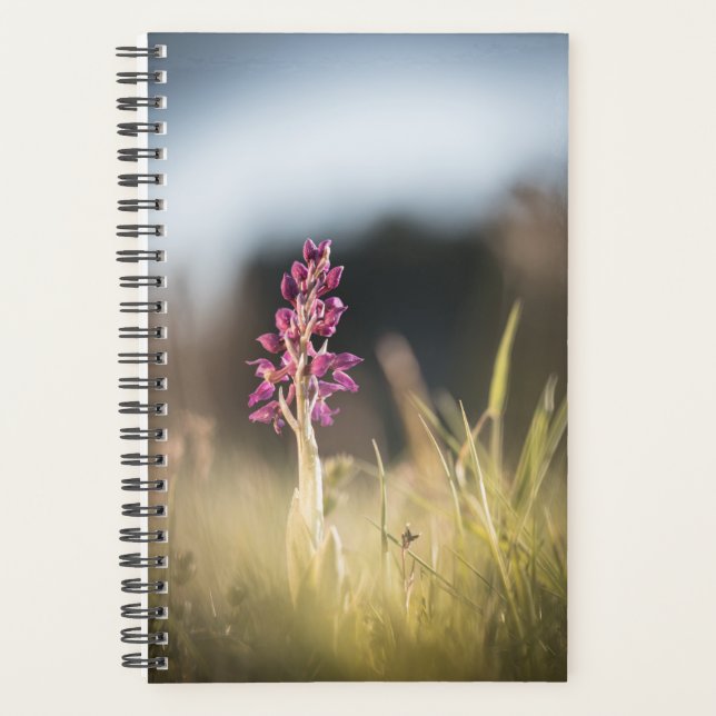 Wild Orchid Nature Foto Planer (Vorderseite)