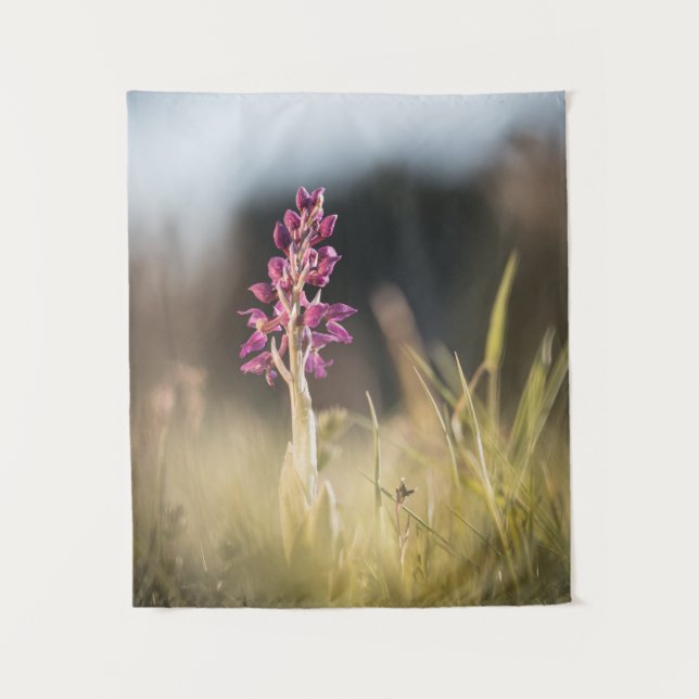 Wild Orchid Nature Foto Wandteppich (Vorderseite)