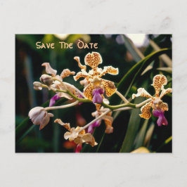 Wild Orchid Save the Date Postcard Ankündigungspostkarte