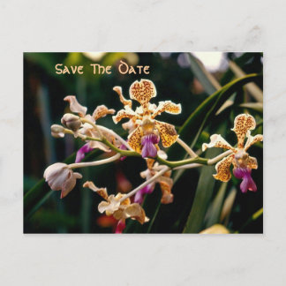Wild Orchid Save the Date Postcard Ankündigungspostkarte