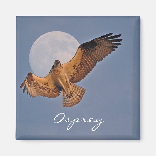 Wild Osprey & Super Moon Foto Design Magnet (Vorne)