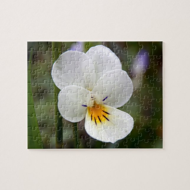 Wild Pansy Foto Puzzle mit Geschenkboxen (Horizontal)
