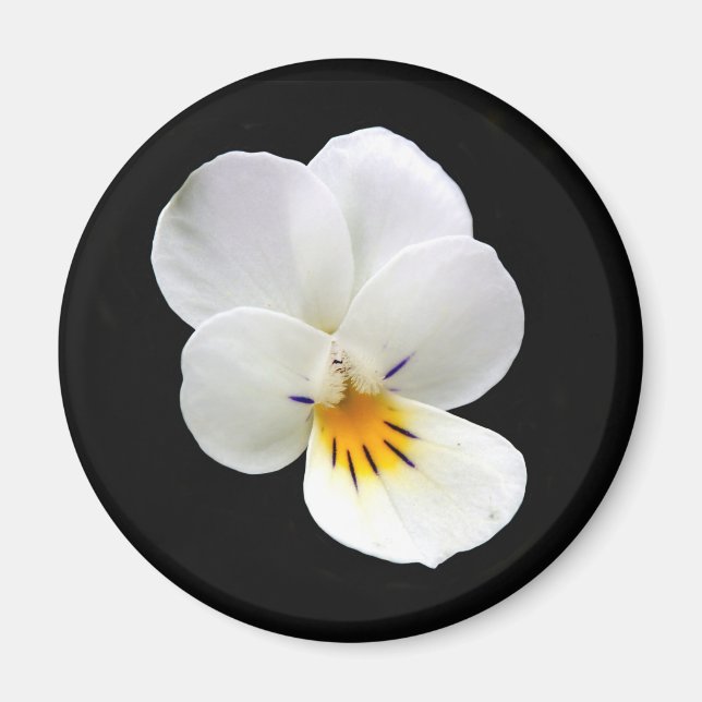 Wild Pansy Magnet (Vorne)