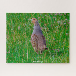 Wild Partridge Puzzle