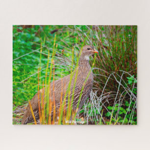 Wild Partridge Puzzle