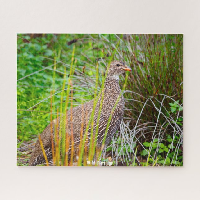 Wild Partridge Puzzle (Horizontal)