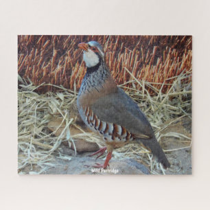 Wild Partridge Puzzle