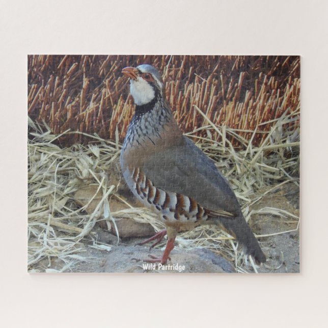 Wild Partridge Puzzle (Horizontal)