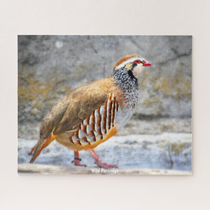 Wild Partridge Puzzle