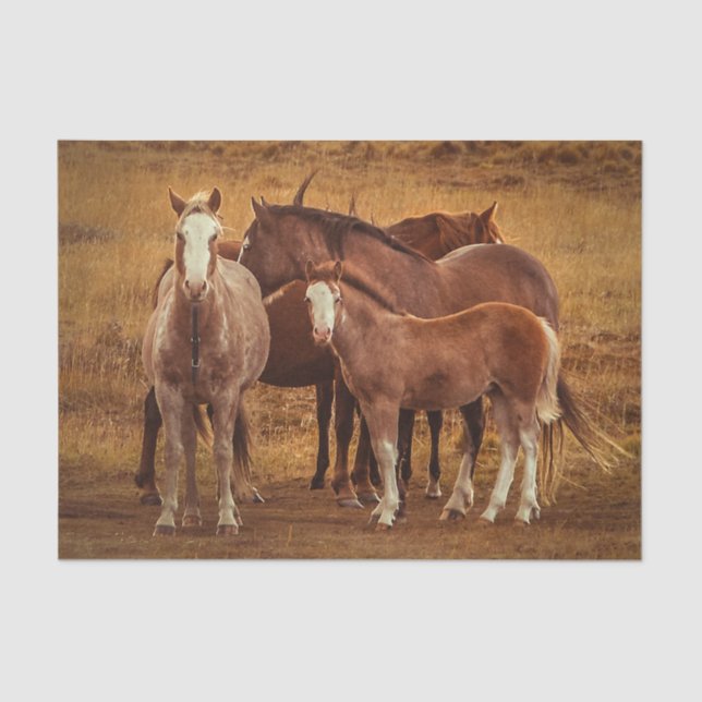 Wild Patagoniens Geistfotografie Seidenpapier (Vorderseite)