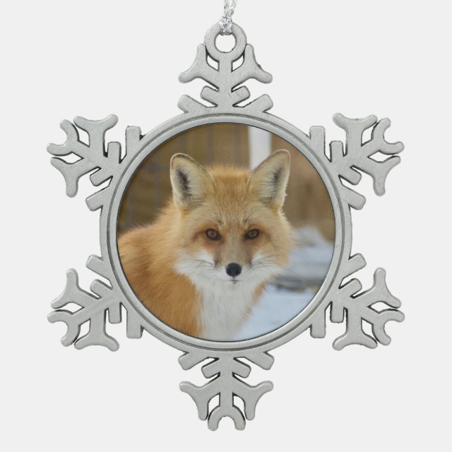 Wild Paws Alfalfa Snowflake Framed Ornament (Vorderseite)
