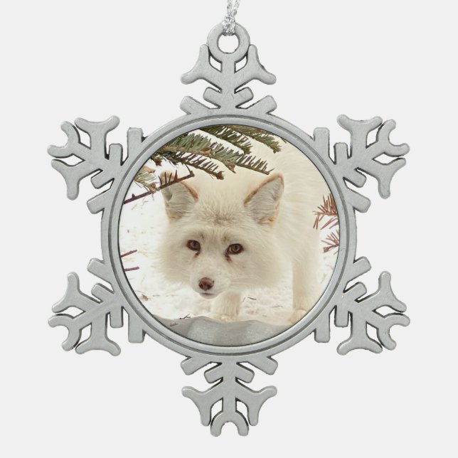 Wild Paws Coconut Snowflake Framed Ornament (Vorderseite)