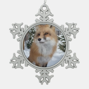 Wild Paws Finneas Schneeflocken-Ornament mit Rahme Schneeflocken Zinn-Ornament