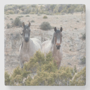 Wild Pferd Mutter und Sohn Steinuntersetzer