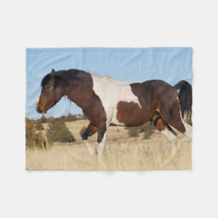 Wild Pferd, Steens Mountains Fleecedecke
