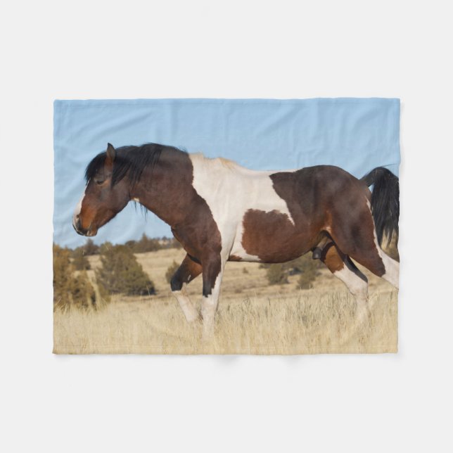 Wild Pferd, Steens Mountains Fleecedecke (Vorderseite (Horizontal))