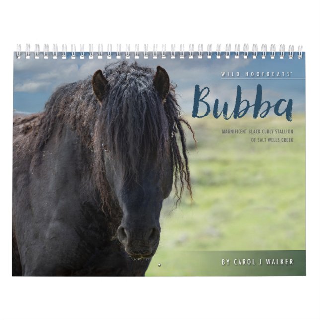 Wild Pferde Bubba Kalender (Titelbild)