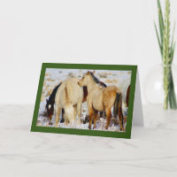 WILD PFERDE DER UTAH NATIVITY CHRISTMAS Card