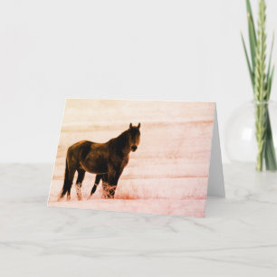 WILD PFERDE DER UTAH ONAQUI HERDE KARTE