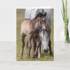 Wild Pferde Serenity Karte