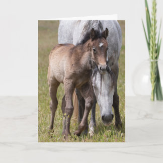 Wild Pferde Serenity Karte
