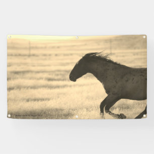 WILD PFERDE VON UTAH BANNER MIT GROMMET